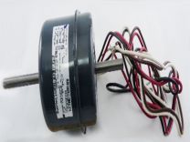 HC37GE239.jpg